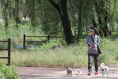 청계천 산책로 반려견