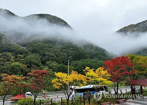 깊어 가는 가을