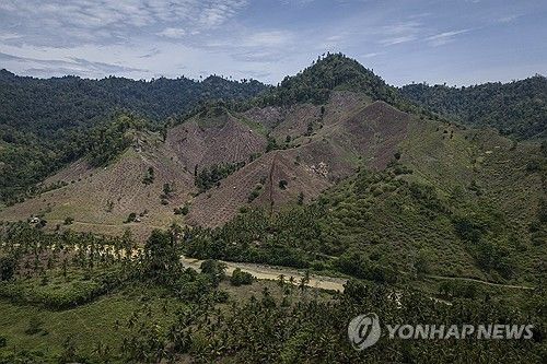 인도네시아 삼림 벌채
