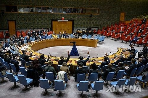 유엔 안전보장이사회 회의