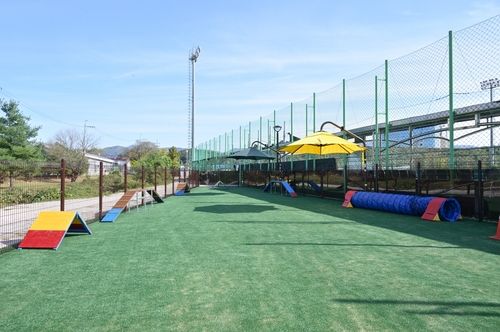 포천종합운동장 내 반려견 놀이터 개장