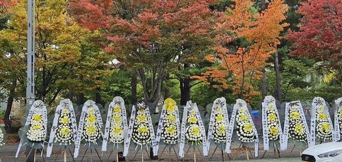 성남시의회 앞에 놓인 근조화환