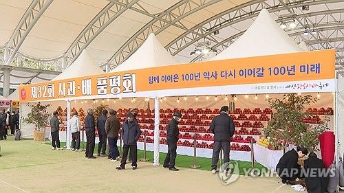 지난해 열린 예산황토사과축제 
