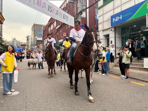 지난해 양재 말죽거리 축제 모습