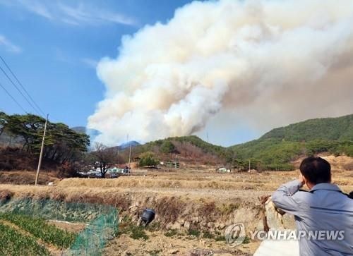 2023년 3월 경남 합천군 산불