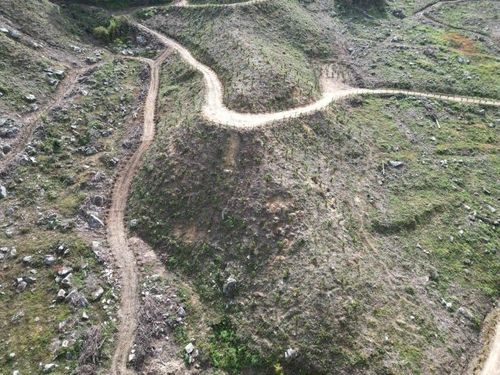 함양 지역 특화 숲 조성 사업지