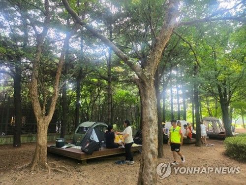 캠핑장