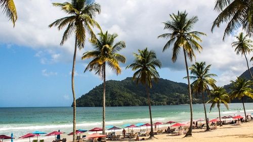 트리니다드토바고 마라카스 해변