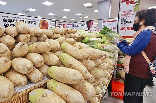 배추 고르는 시민