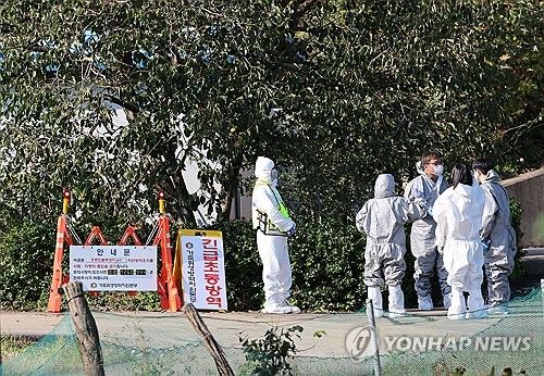AI 항원 발생한 산란계 농장