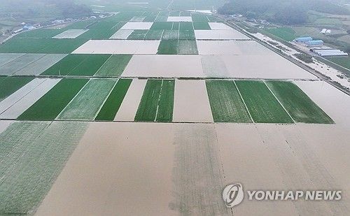 [연합뉴스 자료사진]