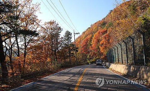 단풍으로 물든 미시령 옛길