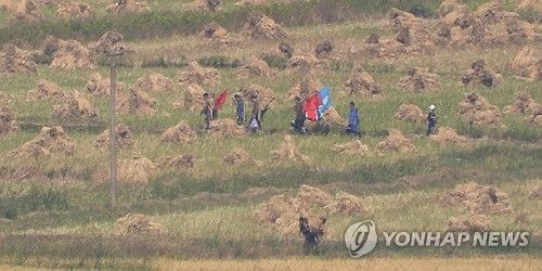 추수 작업 한창인 북한 들녘