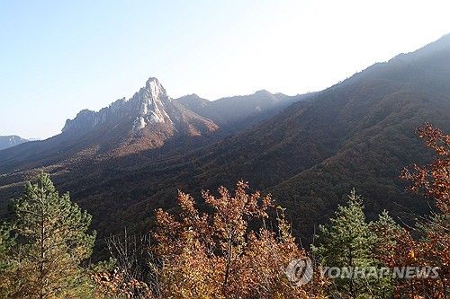 설악산 단풍 '절정'