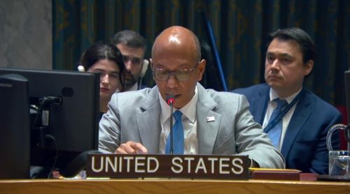 안보리 발언하는 로버트 우드 미 차석대사