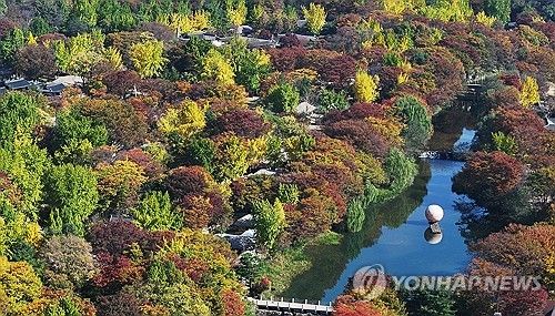 단풍 물들어가는 가을