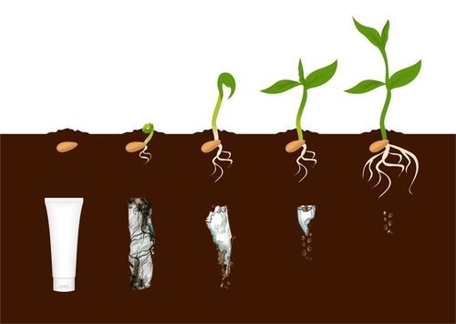 생분해 화장품용 용기가 식물 생장에 도움을 주는 모습