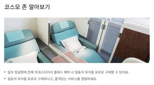 대한항공 '코스모 존'