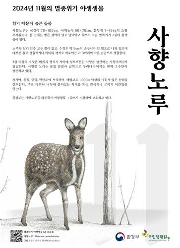 '머스크향' 욕심낸 인간이 남획한 사향노루…11월 멸종위기종 - 2
