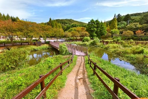 수변 산책로[사진/조보희 기자]