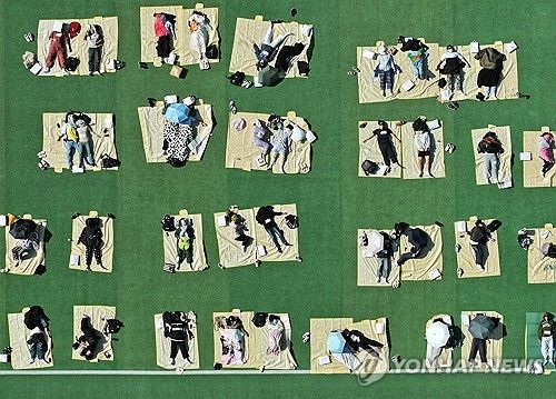 대놓고 낮잠 자기 대회