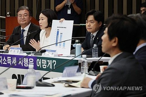 지난달 24일 열린 민주당 금투세 토론회