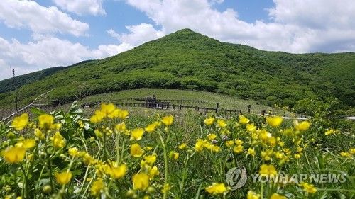 강원 인제군 점봉산 곰배령