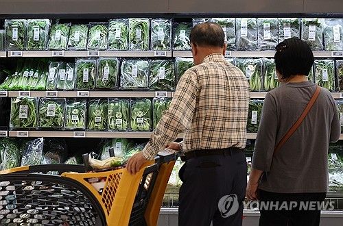 '작황 부진' 채솟값 상승 전망