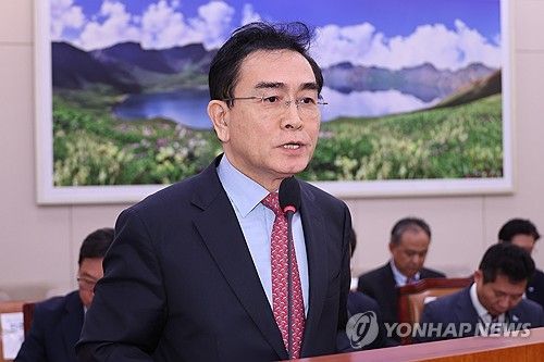 답변하는 태영호 민주평통 사무처장