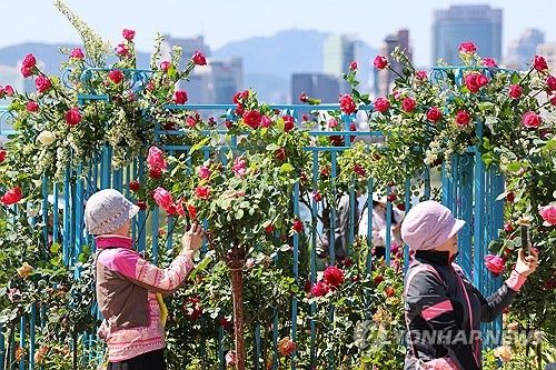 스마트폰에 담는 정원