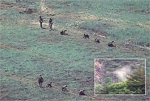 전선지역에서 지뢰매설 작업 중인 북한군