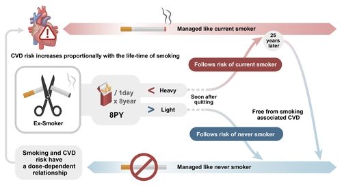 "흡연량 적은 흡연자, 금연 즉시 심혈관질환 위험 대폭 감소"