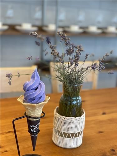 라벤더 아이스크림