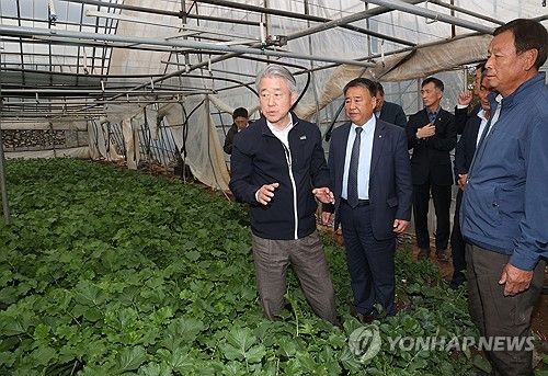 강호동 농협중앙회장, 여수 무 생육동향 점검