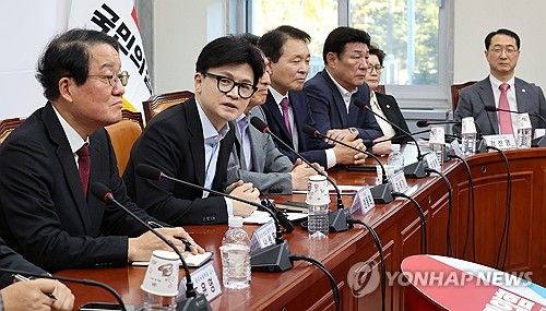 국민의힘 한동훈 대표