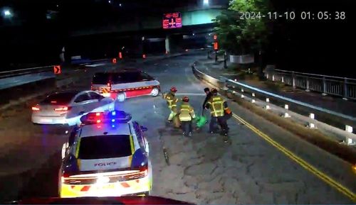 의왕시 청계동에서 사슴 포획 중인 소방 구조대원들