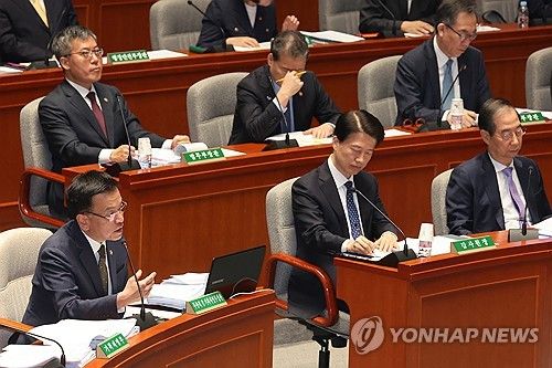 답변하는 최상목 부총리