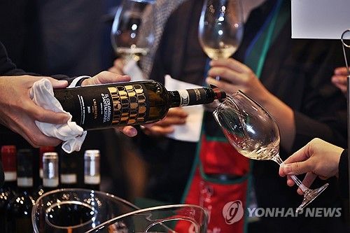 이탈리아 와인 시음