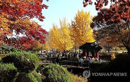 단풍 고운 제천 배론성지