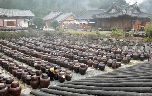 전남 담양군 장고에 장 익어가는 1천200여개 장독 가득