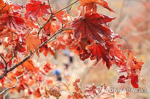 가을 산행