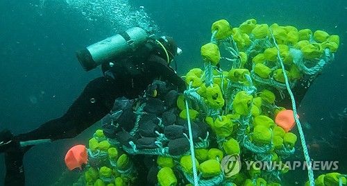 금성호 침몰사고 수중 수색