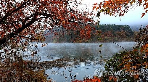 단풍에 절경이룬 소양호