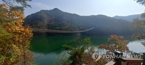 옥순봉 출렁다리