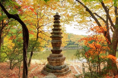 보물 '창경궁 팔각칠층석탑'