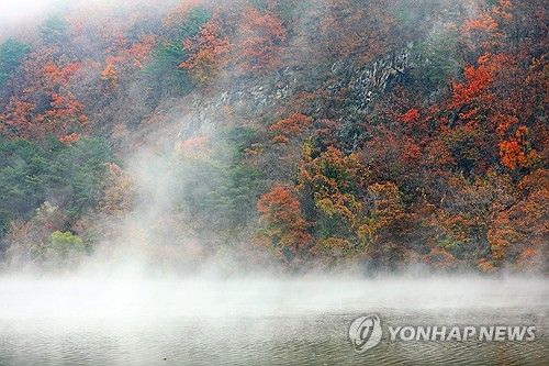 단풍과 물안개…신비로운 소양호 풍경