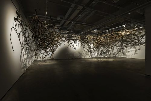 박소희, COMPLEX_root, 2024, 식물 혼합 재료, 가변크기[라인문화재단 제공. 재판매 및 DB 금지]