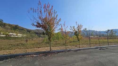 BMW 부품물류센터 확장 예정 부지