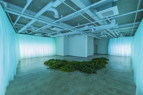 박기원, 중정, 2024, LED 평판 조명, 컬러 비닐, 가변크기[라인문화재단 제공. 재판매 및 DB 금지]