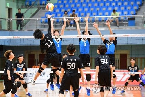 2019 홍천 전국 유소년 클럽 배구대회 모습. [한국배구연맹 제공. 연합뉴스 자료사진. 재판매 및 DB 금지]